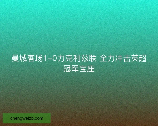 曼城客场1-0力克利兹联 全力冲击英超冠军宝座